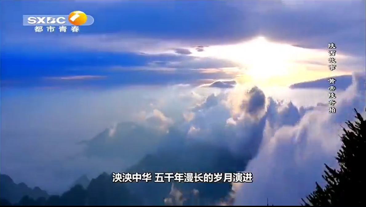 【陕西故事】黄帝陵奇柏 视频封面