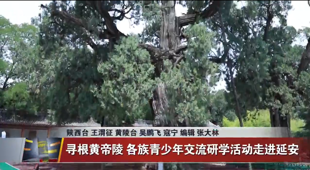 寻根黄帝陵 各族青少年交流研学活动走进延安 视频封面