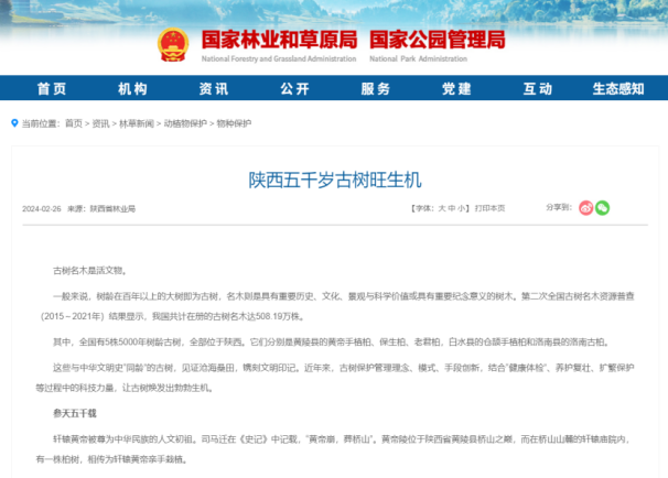 全国绿化委为5株五千年柏树建档